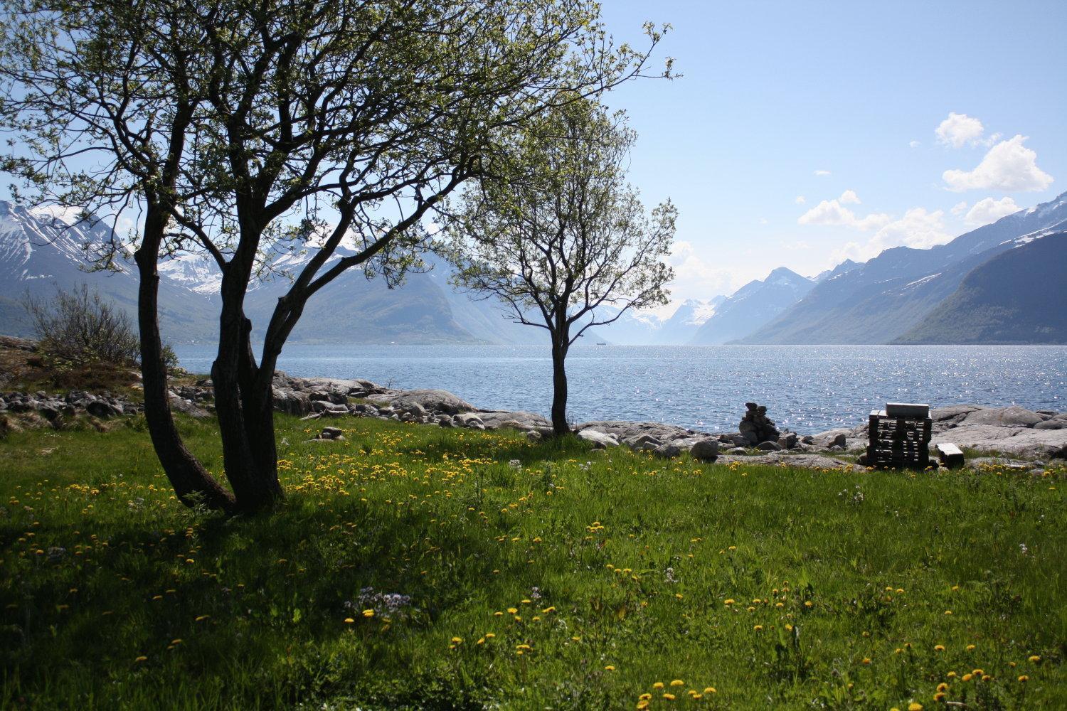Sunde Fjord Hotel, Free And Easy Parking Solavagen ภายนอก รูปภาพ